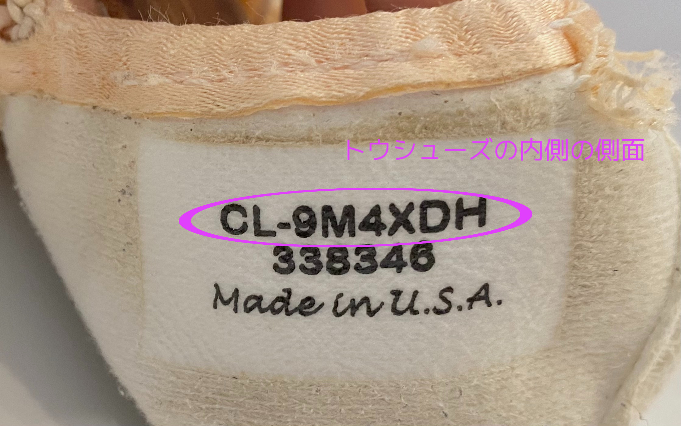 ゲイナーミンデン 【Gaynor Minden】トウシューズ一覧