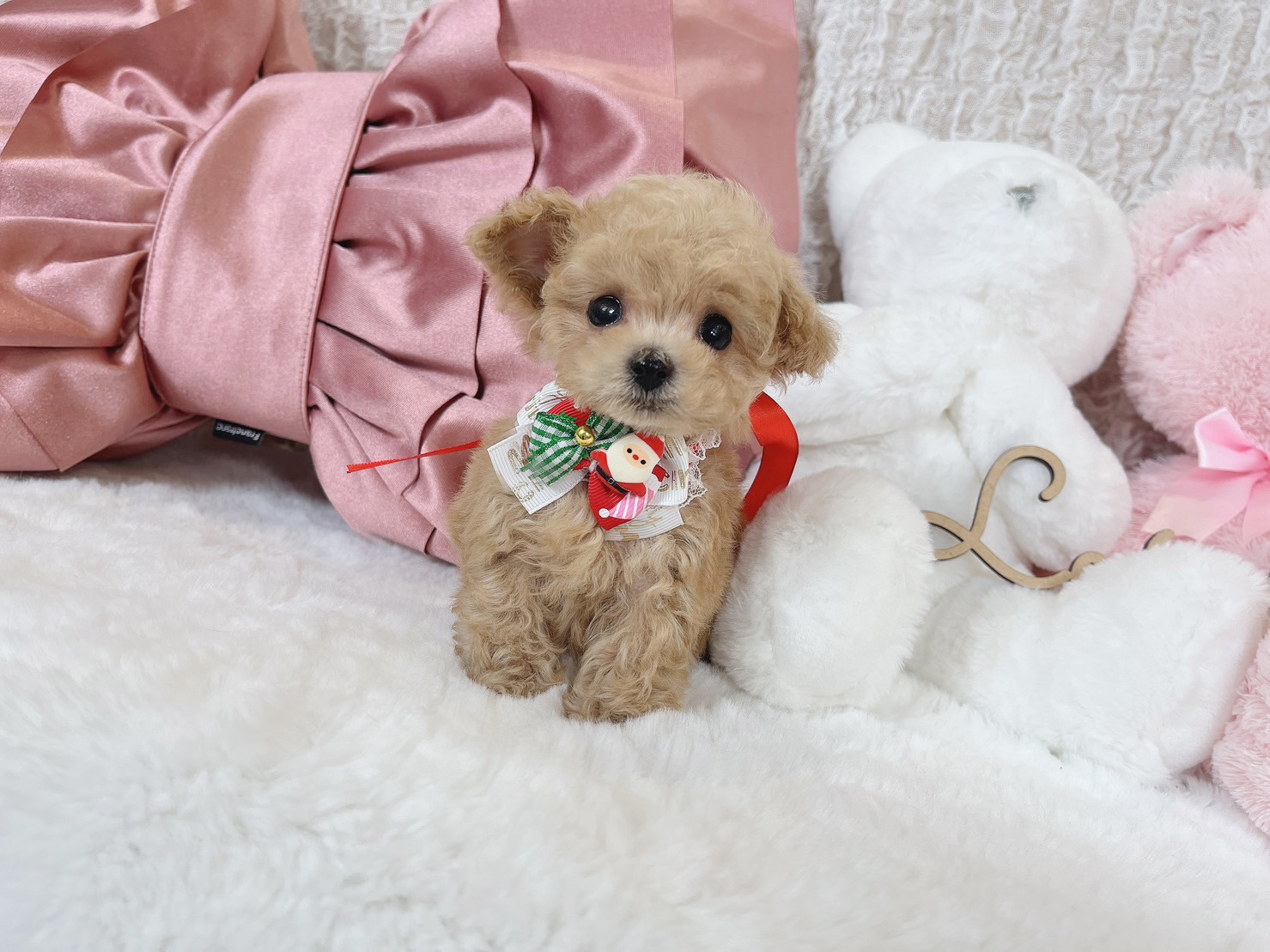 ミニマムファミリー！ちびちびで可愛いミルクティーカラー♡ペール