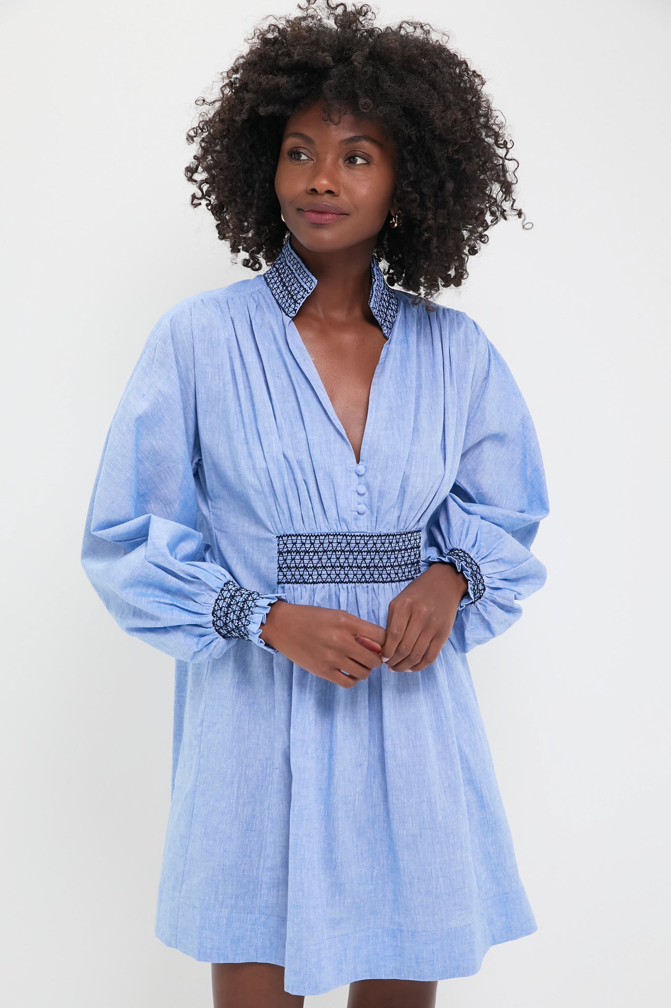 Chambray Embroidered Aubury Dress | Tuckernuck