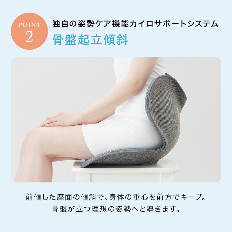 楽天市場】姿勢ケアシート スタイル スタンダード F01 生地あり Style