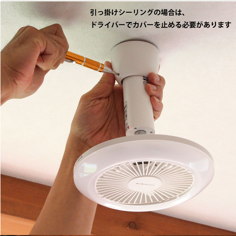 楽天市場】【2/20 2人に1人最大100％ポイントバック】【在庫処分セール