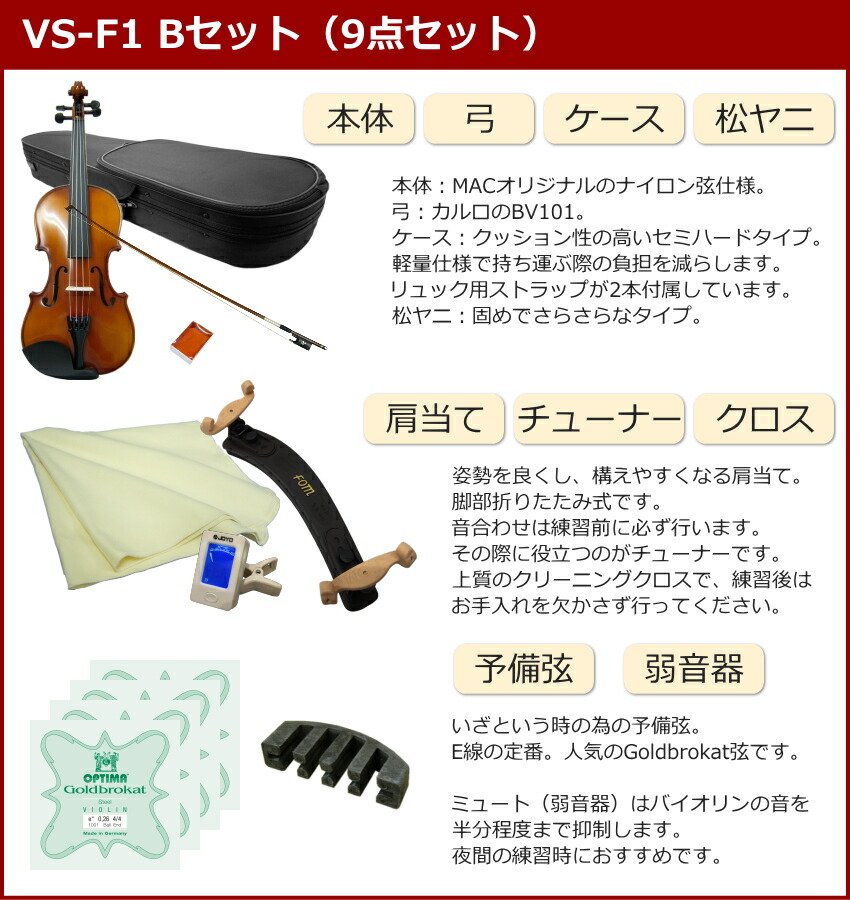 美品】カルロジョルダーノ バイオリンVS-1 4/4 （2022） ケース付き