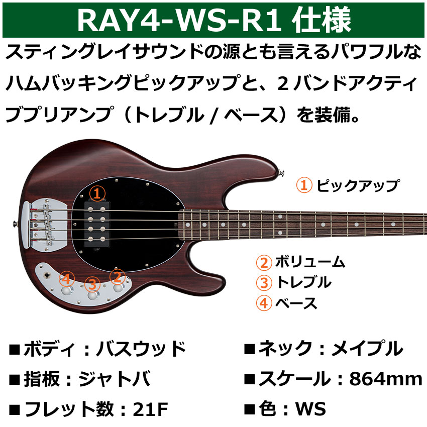 楽天市場】Sterling by MUSIC MAN ベースギター エレキベース Ray4