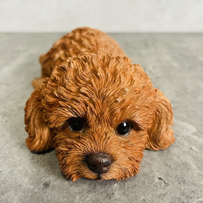 楽天市場】かわいい 犬 置物 うつ伏せトイプードル ブラウン woobia