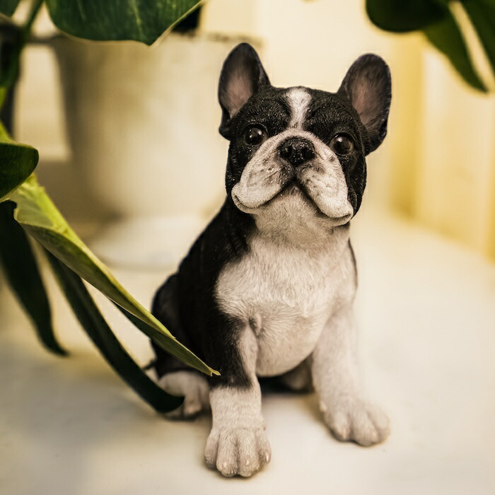 2026年最新昭和レトロ オオイケの人気アイテム オオイケ KOWA