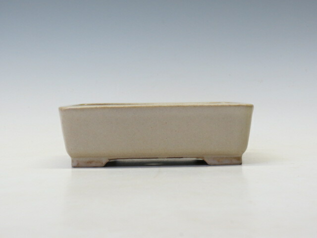 楽天市場】盆栽鉢 柴勝 長方鉢 【作家鉢 常滑焼 日本鉢 盆栽小鉢