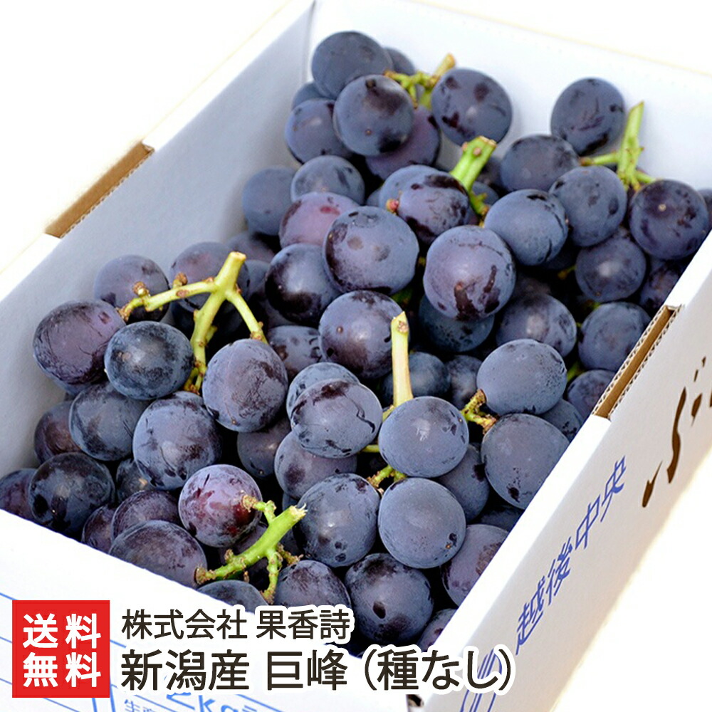 楽天市場】新潟産 巨峰（種なし）「800g」or「2kg」 株式会社 果香詩