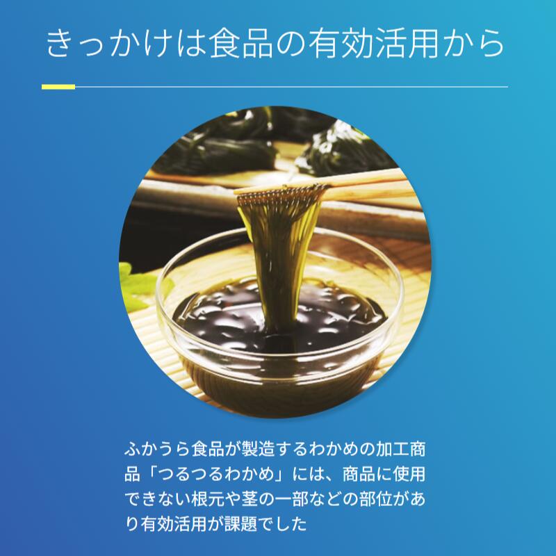 楽天市場】つるつるシャンプー シャンプー ふかうら 300ml 青森 深浦