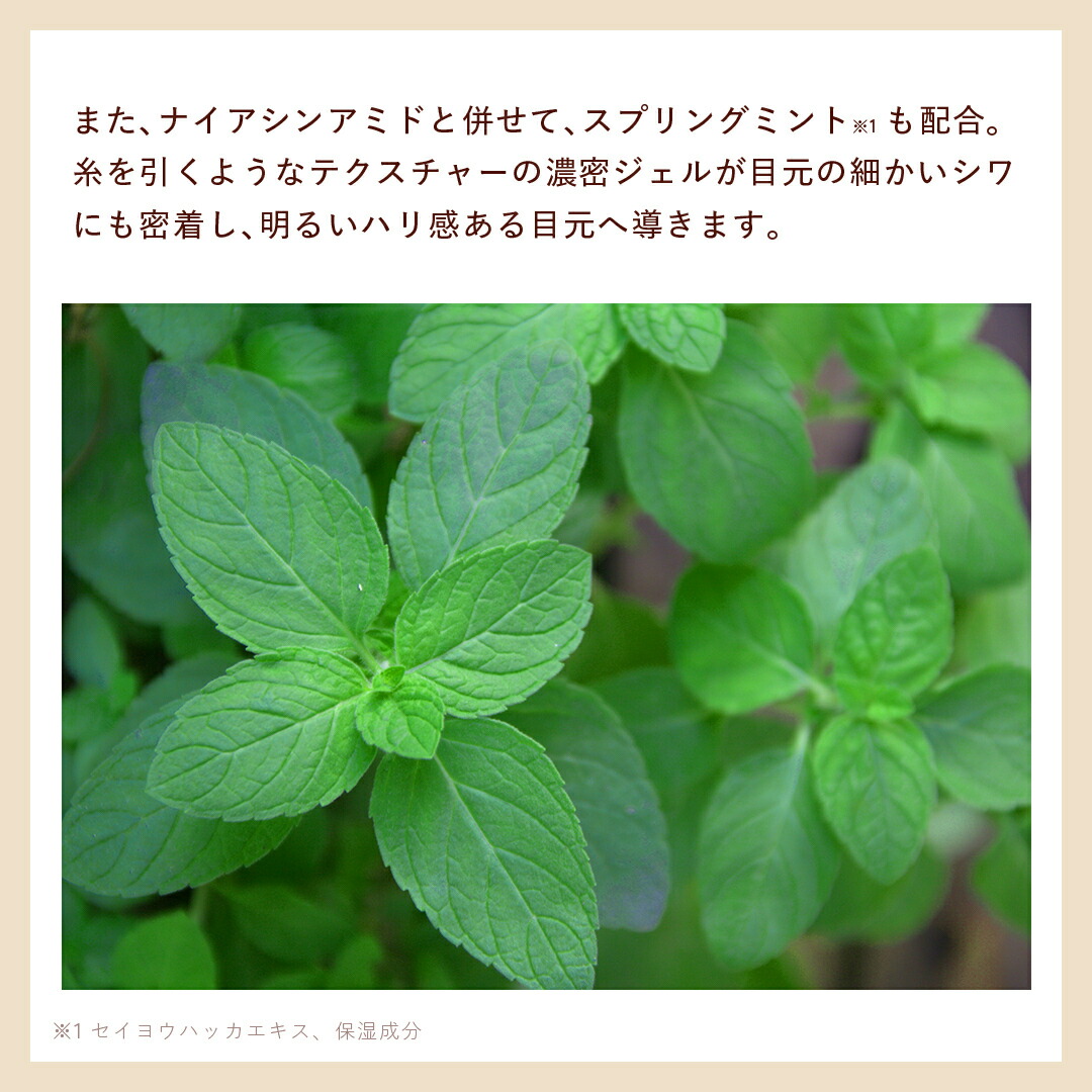 楽天市場】＼SALE期間P最大10倍／“とろみのある質感でしっとり肌へ