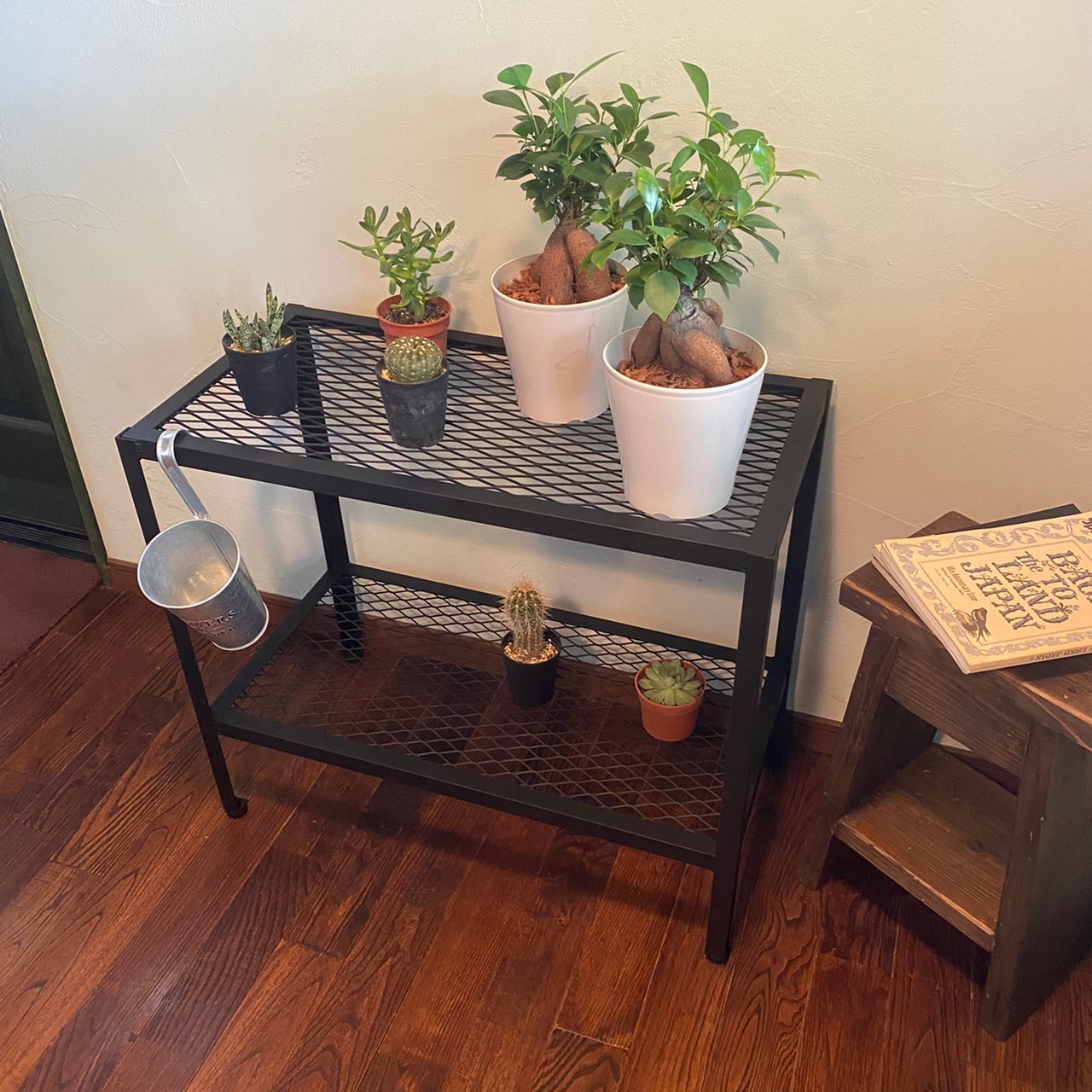 楽天市場】アイアン シェルフ 2段 植物棚 サイズ変更可 インテリア