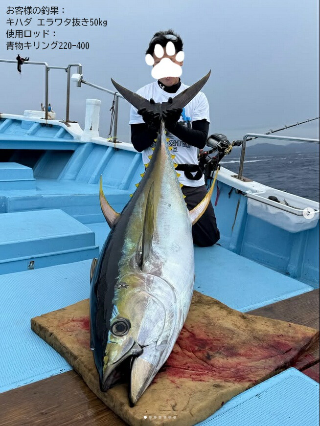 海釣り 船釣り 青物 大鯛 ロッド アルファータックル プロファイター