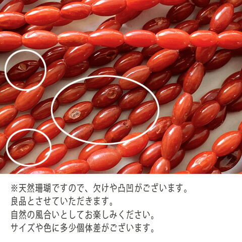 楽天市場】天然素材 珊瑚 ビーズ サンゴ コーラル さんご マーキス