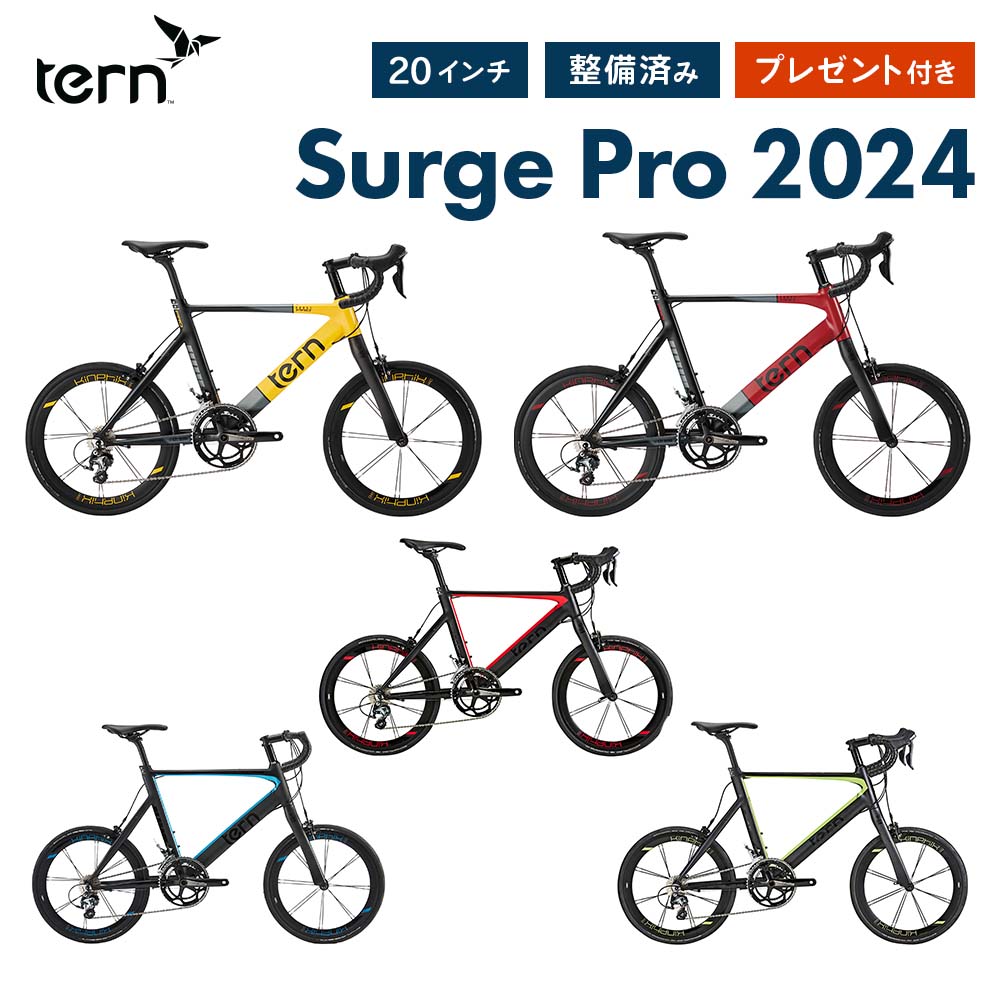 楽天市場】Tern ターン 自転車 ミニベロ Surge PRO サージュ プロ 2024