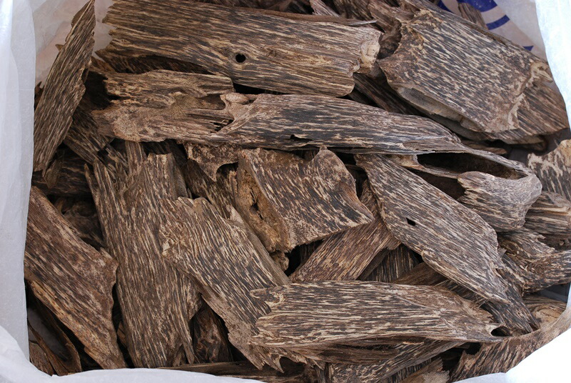 楽天市場】沈香 ベトナム産高級人工栽培沈香【訳あり中高ランク】100g