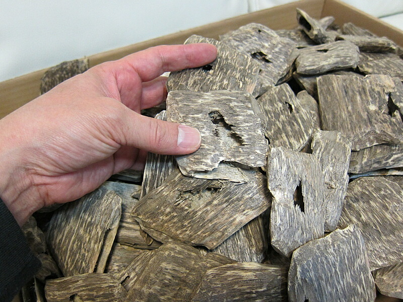 楽天市場】沈香 ベトナム産高級人工栽培沈香【訳あり中高ランク】100g