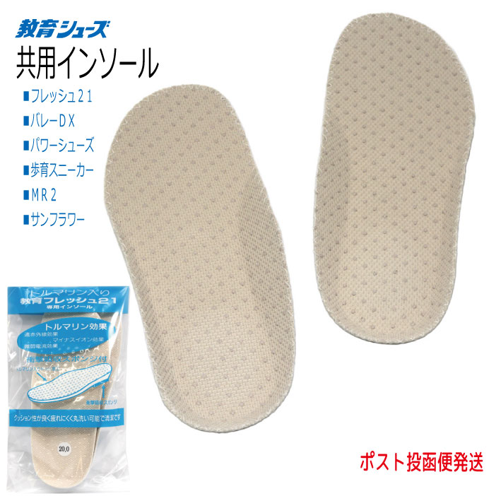 楽天市場】【ポスト投函便商品】教育シューズ共有インソール