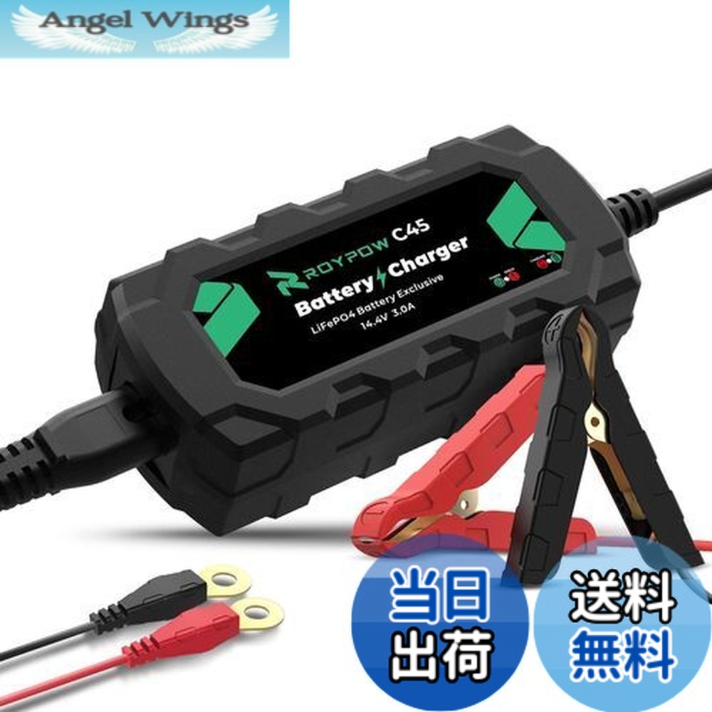 楽天市場】リン酸鉄リチウムイオンバッテリー 充電器の通販