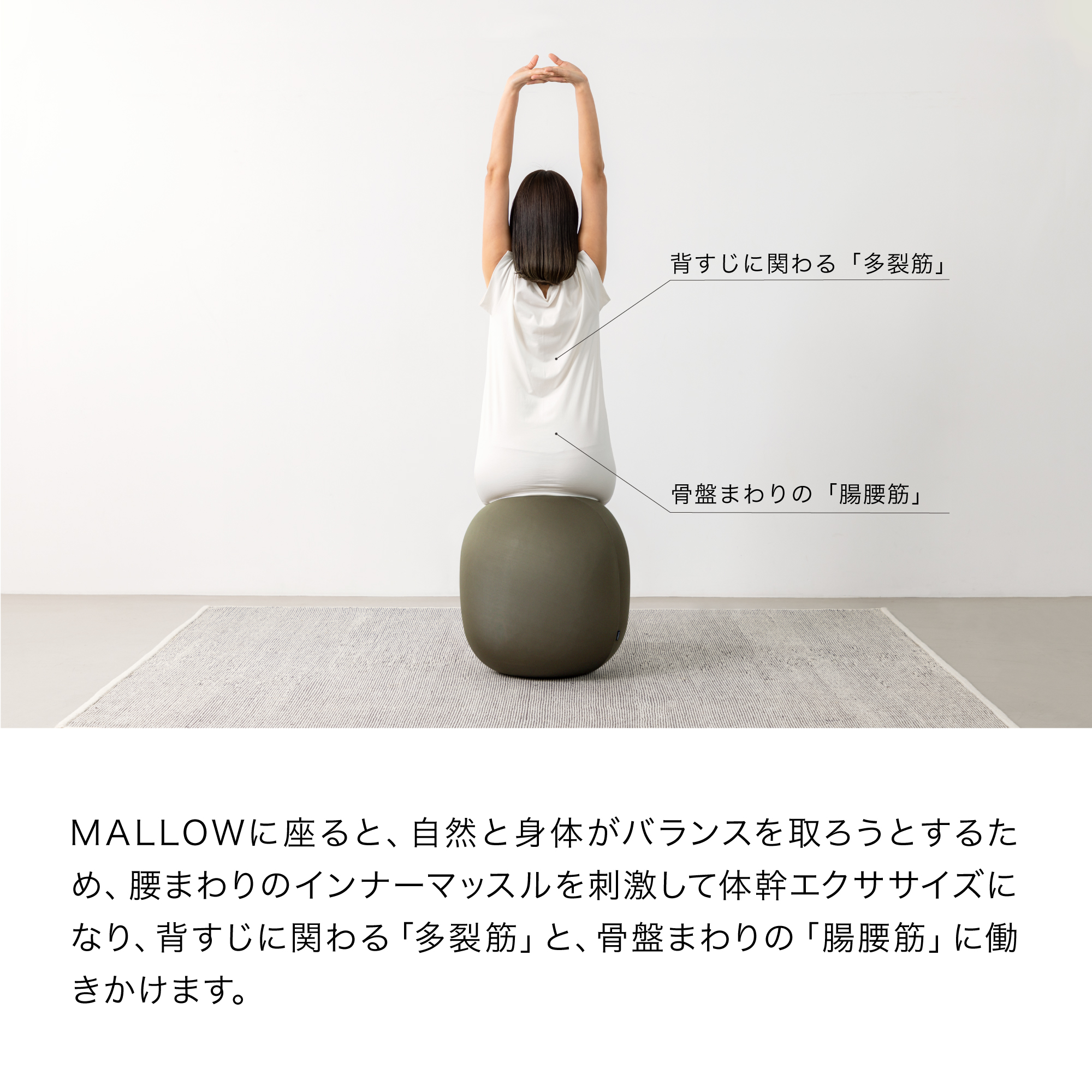 楽天市場】MALLOW マロウ まろー マロー エクササイズ バランスボール