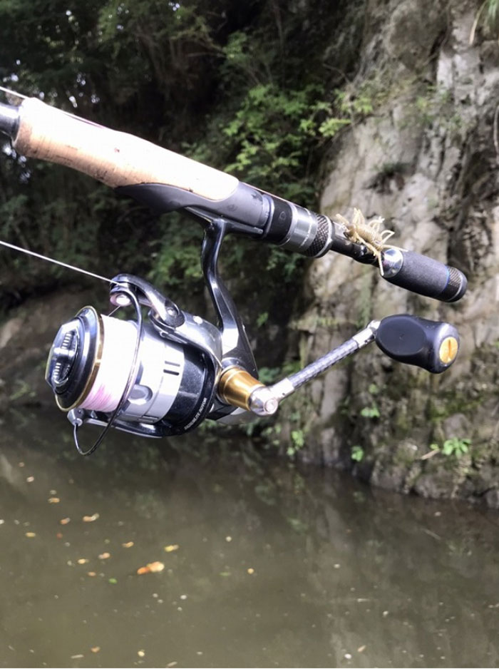 楽天市場】【在庫限りの特別価格】リバイブ×エンジン パワーフィネス