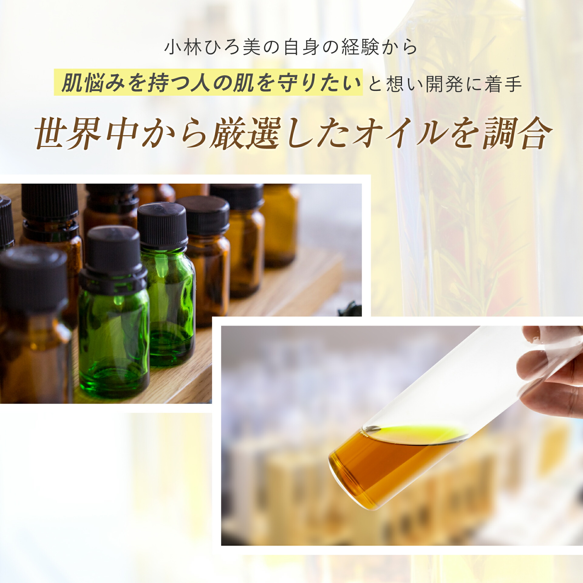 楽天市場】【2/23まで 10％OFFクーポン】【新発売】【 公式】セブン