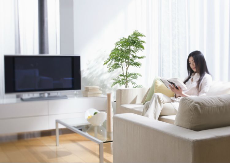 楽天市場】エバーフレッシュ 160cm (造花 観葉植物 インテリア