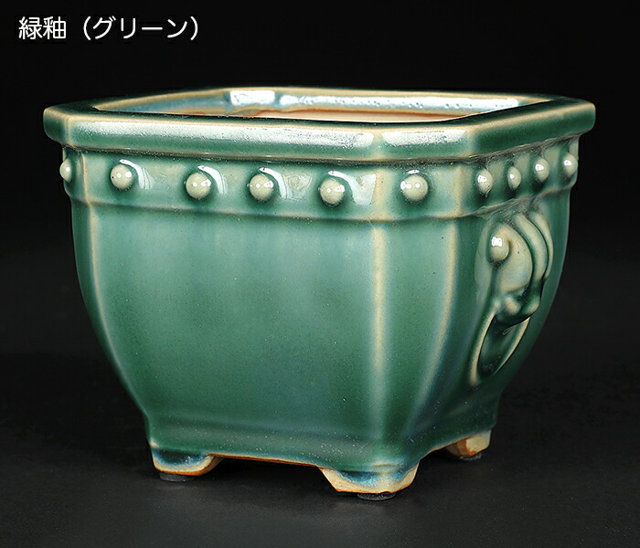 三琇一陽】 盆栽鉢1点 竹節胴紐撫角長方 希少 山