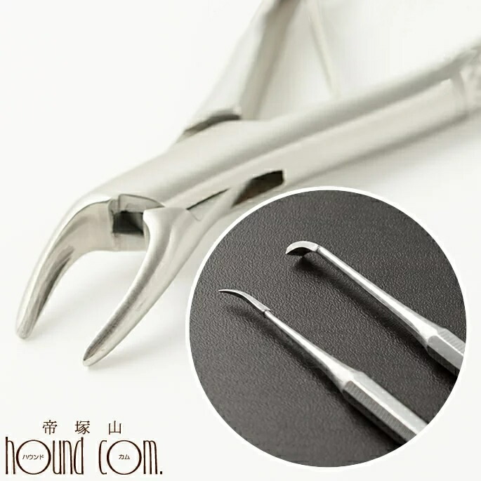 楽天市場】【割引クーポン配布中】愛犬・愛猫歯石取りペンチと