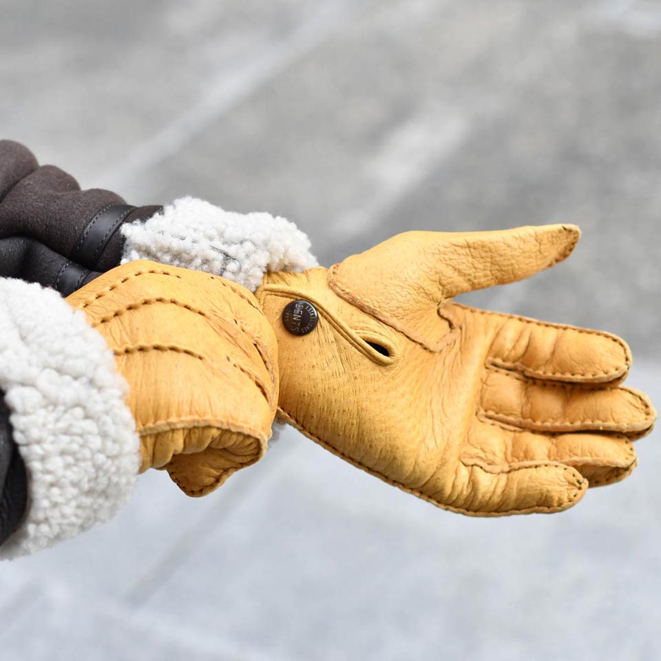 DENTS ペッカリー グローブ Hampton デンツ 手袋 コルク・コーク 希少