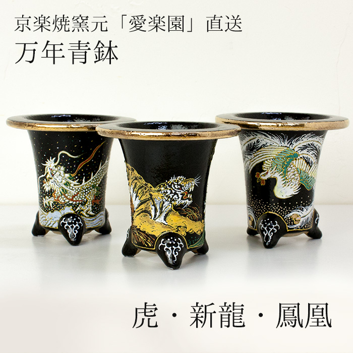 楽天市場】◇京楽焼窯元「愛楽園」直送◇『万年青鉢（おもと鉢） 虎