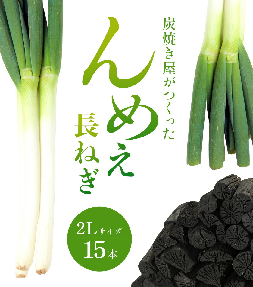 楽天市場】【ふるさと納税】【2026年先行受付分】炭焼き屋がつくった