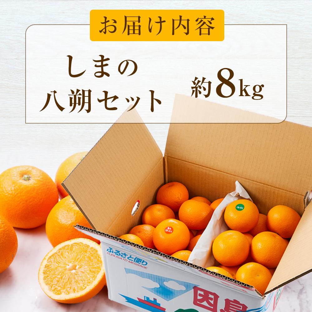 楽天市場】【ふるさと納税】しまの八朔セット約8kg（Mサイズ程度 約30