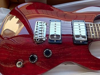 楽天市場】フェルナンデス ギターケースの通販