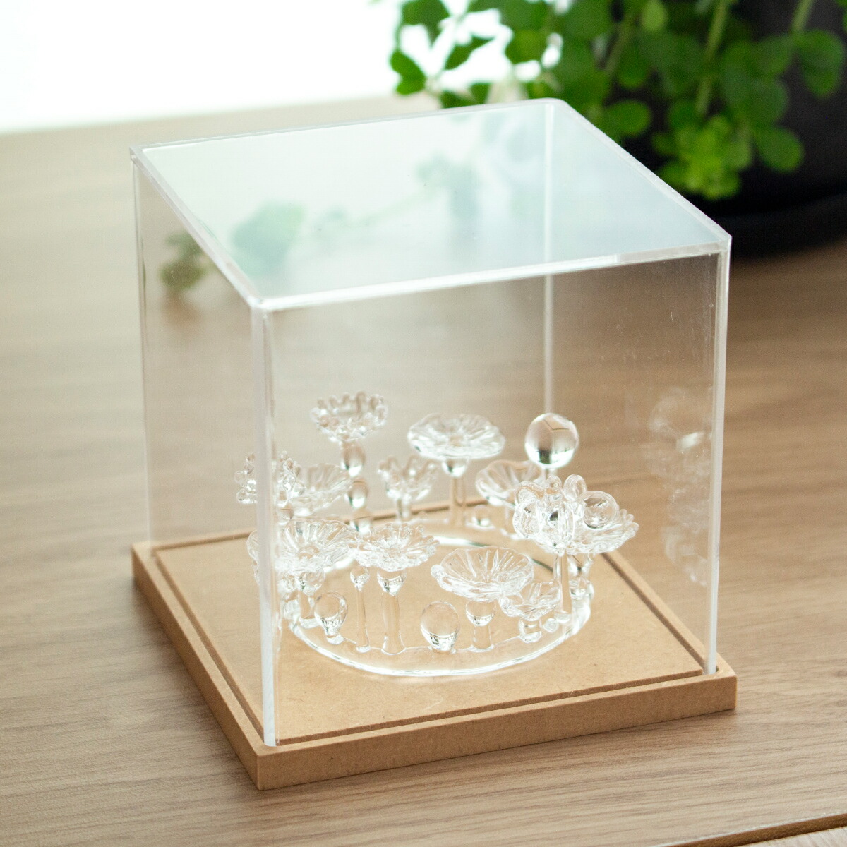 楽天市場】【クーポン対象 2/24 9:59まで】 アクリルケース W70×D70