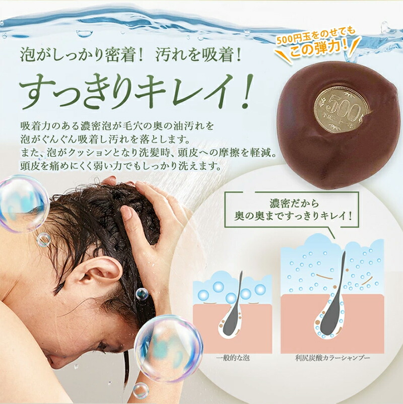 楽天市場】利尻炭酸カラーシャンプー 180g ムラなく染まる 濃密泡