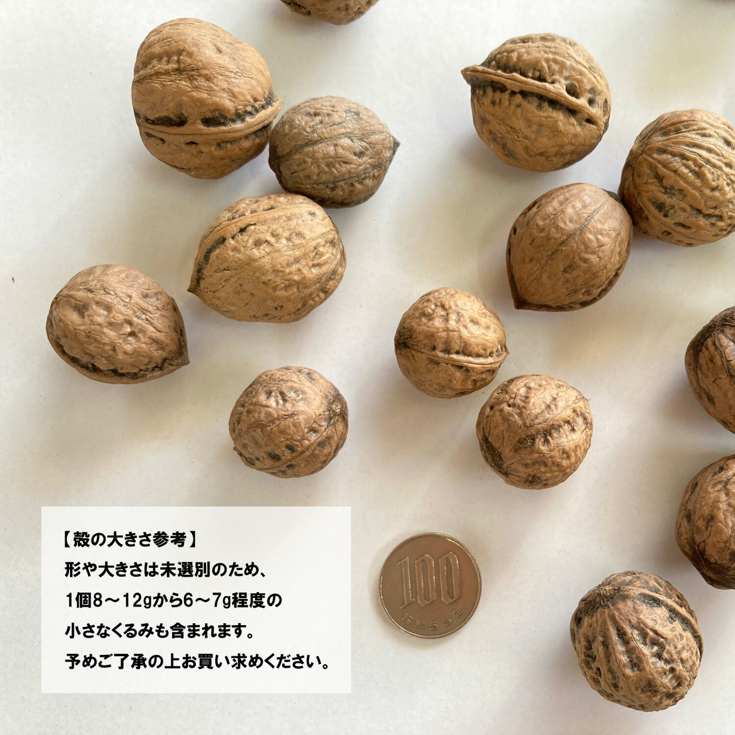 楽天市場】くるみ 1kg 国産 殻付き 令和7年産 山形県産 鬼くるみ