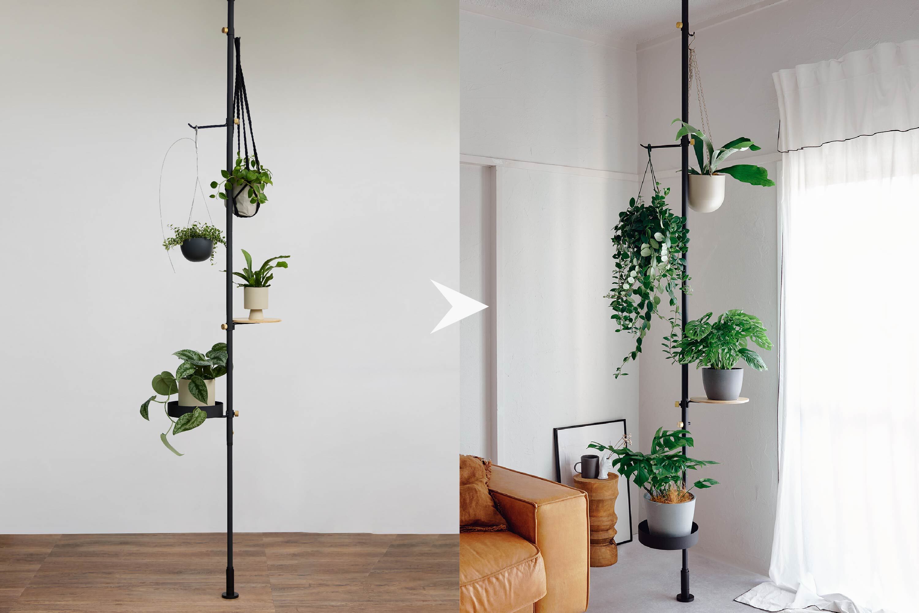 楽天市場】【公式】DRAW A LINE ドローアライン もっとモリモリツリー