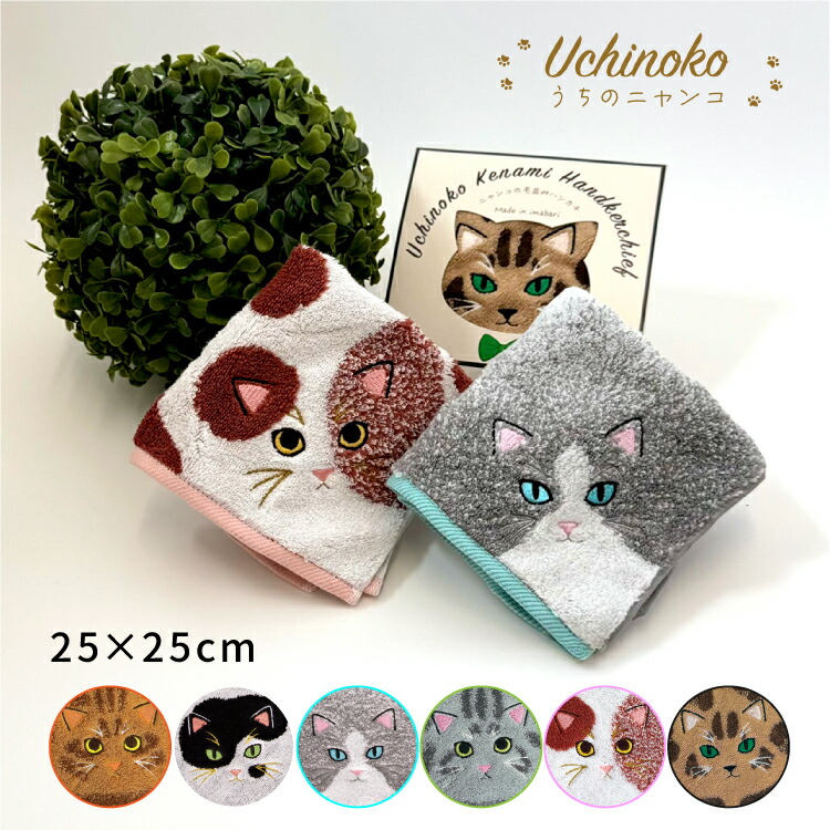 楽天市場】【2月20日 5％OFFクーポン】ハンドタオル | うちのニャンコ