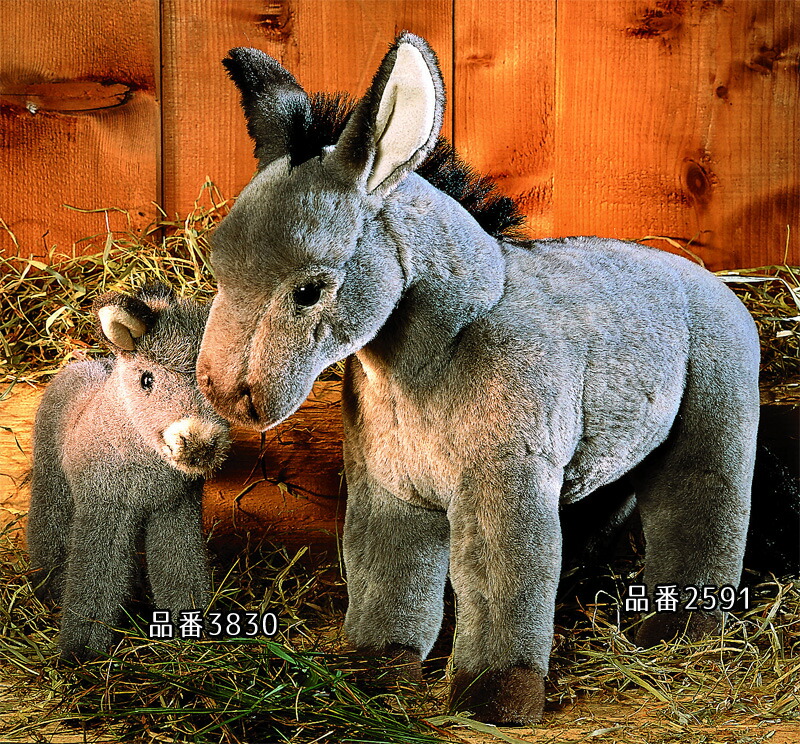 楽天市場】ケーセン ぬいぐるみ kosen ろばの子 22cm Donkey Foal