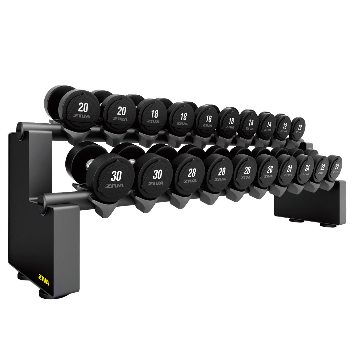 楽天市場】【業務用】ダンベルラック 10ペア 20個 収納 保管 ダンベル