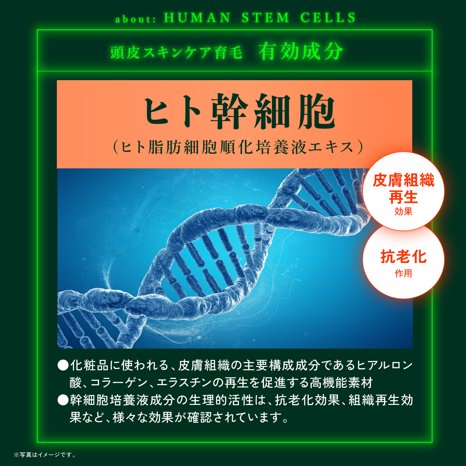 楽天市場】公式 25%OFFクーポン 【 KYOGOKU ネイチャーブースター＋