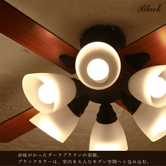 楽天市場】【レビュー特典】 『 シーリングファン Windouble ウィン