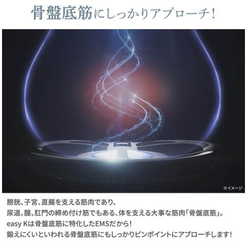 楽天市場】【easy-K 公式】 イージーケイ 骨盤底筋 EMS トレーニング