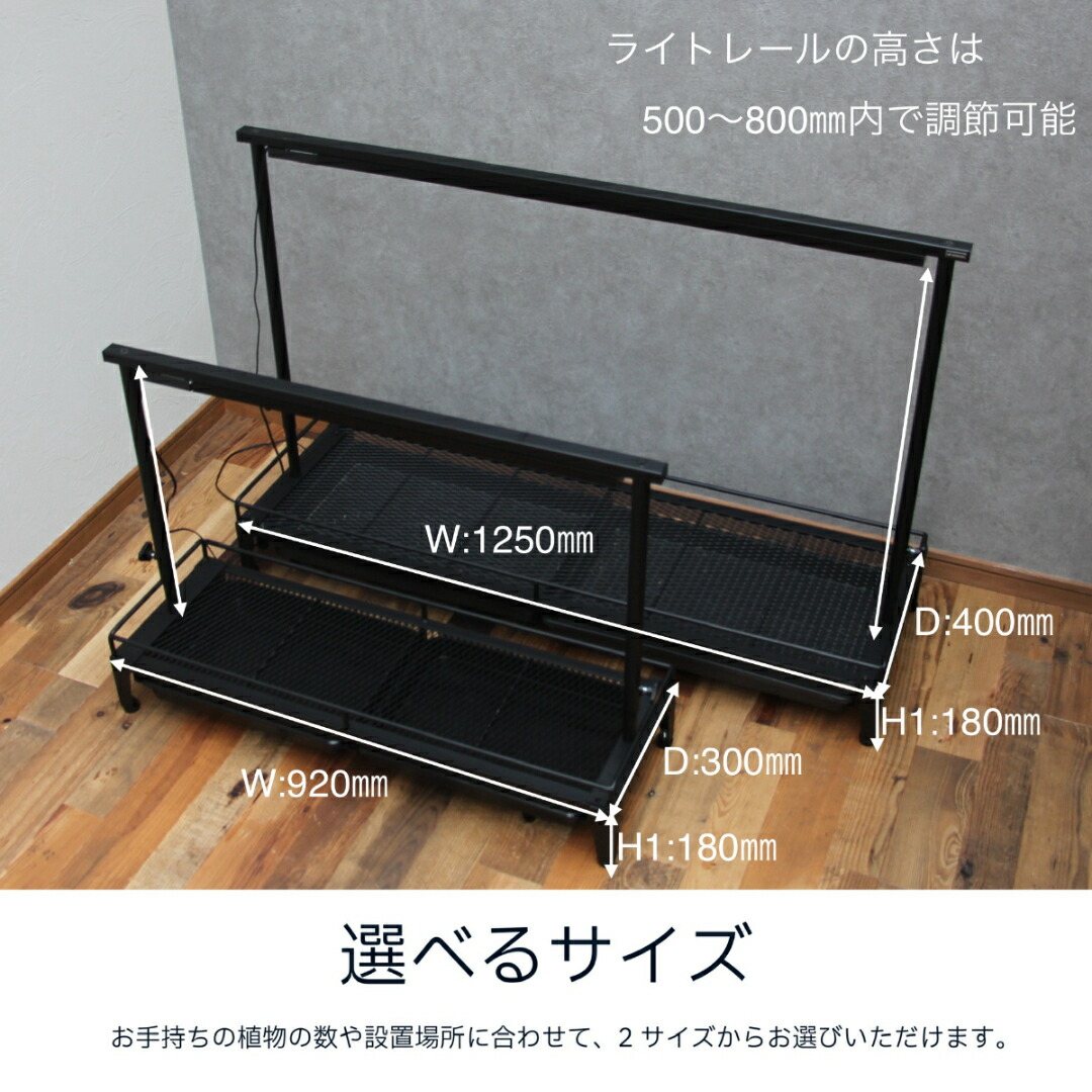 楽天市場】水受けトレー付1段植物棚 植物棚 アガベ 塊根植物 観葉植物