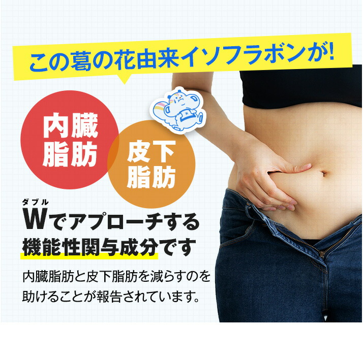 楽天市場】【WEB直販ストア限定】onaka（おなか）30日分 内臓脂肪と