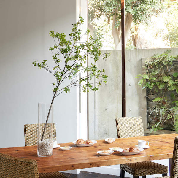 楽天市場】【ポイントUP】【公式】ドウダンツツジ ガラスシリンダー