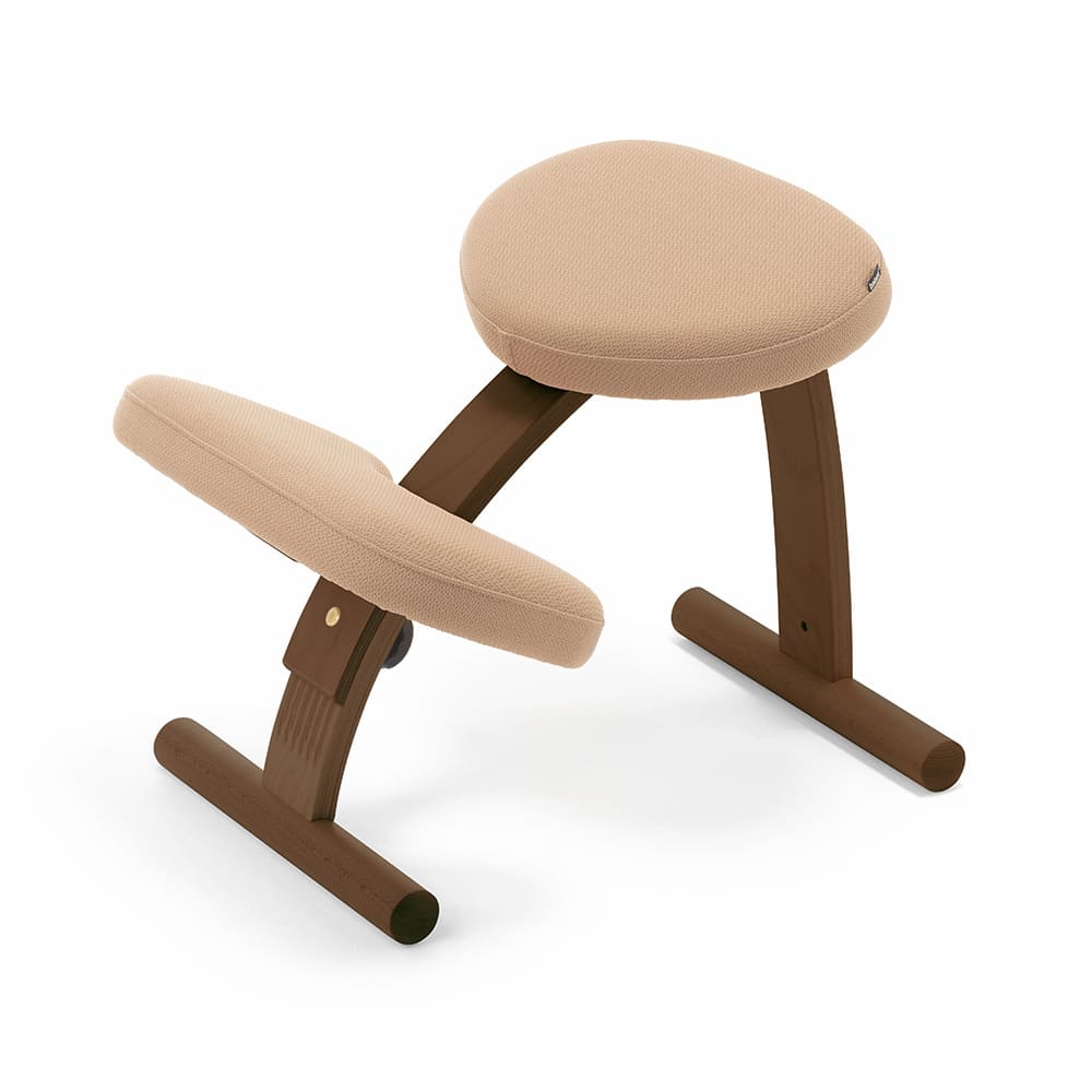 楽天市場】【通算156週1位！】バランスチェア バランス イージー 学習