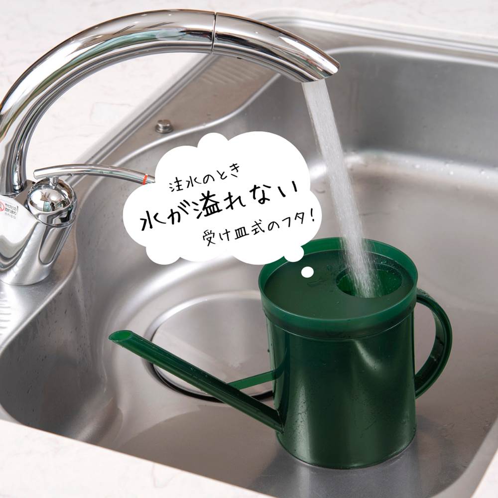 楽天市場】【在庫限り】日本製 室内用ピッチャー 水差し 2L | 植物