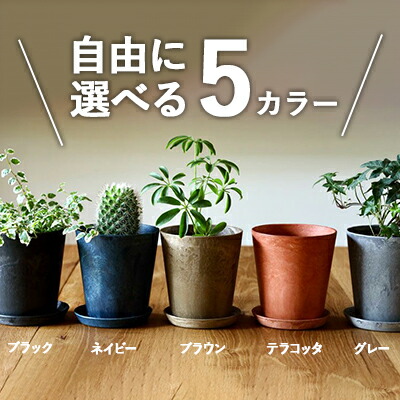 楽天市場】＼ カラー選べる5個【 鉢＆受け皿 】セット ／ アート