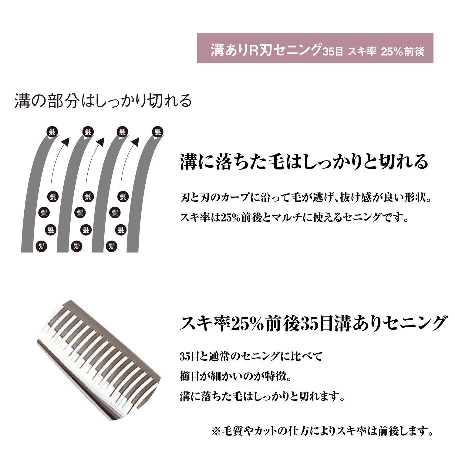 楽天市場】日本の鋏専門メーカー 理美容師専用 / 【BA】XXA シザー