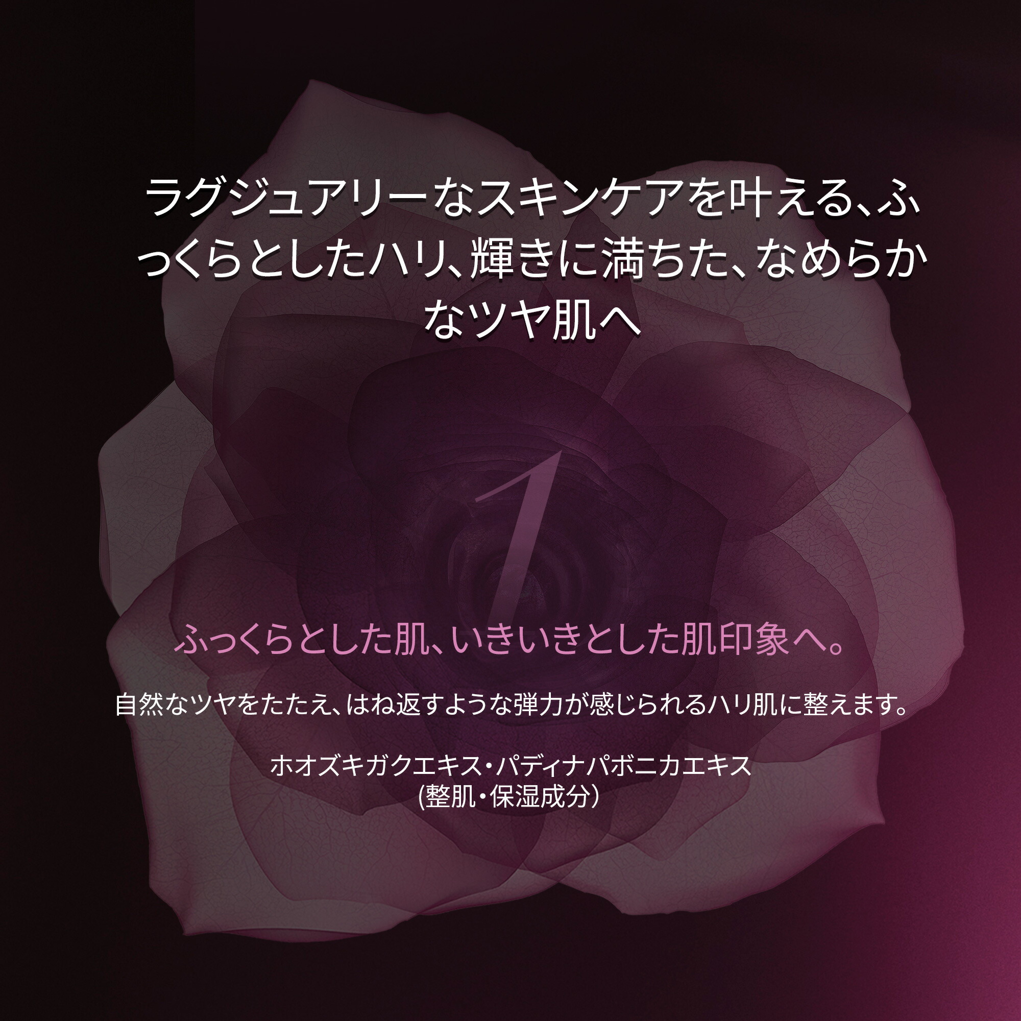 楽天市場】【公式】 シスレー ブラックローズ スキン クリーム 50mL